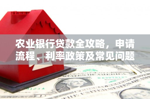 白塔农业银行贷款全攻略，申请流程、利率政策及常见问题解析
