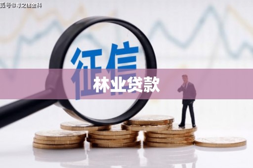 白塔林业贷款