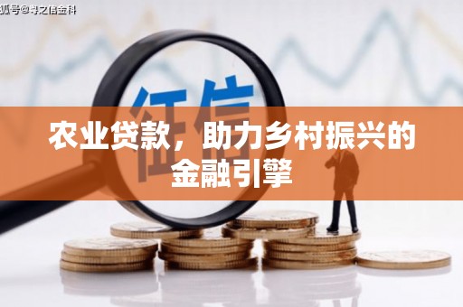 白塔农业贷款，助力乡村振兴的金融引擎