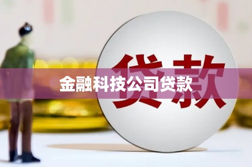 白塔金融科技公司贷款