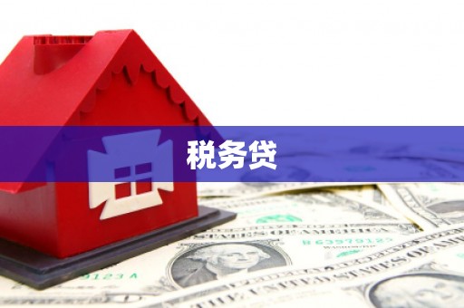 白塔税务贷