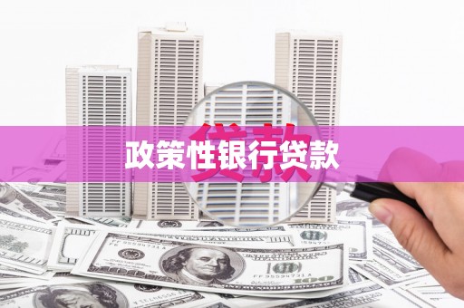 白塔政策性银行贷款