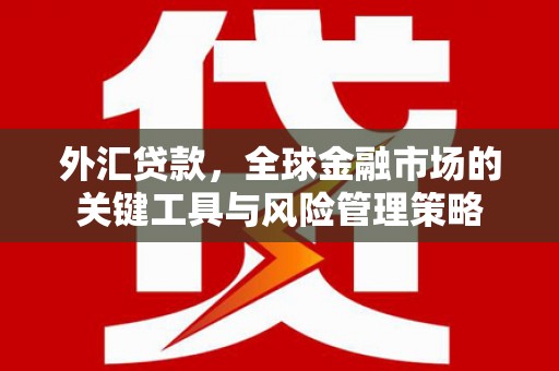 白塔外汇贷款，全球金融市场的关键工具与风险管理策略