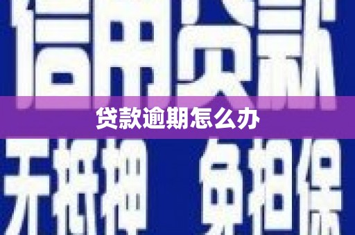白塔贷款逾期怎么办