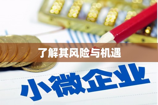 白塔了解其风险与机遇
