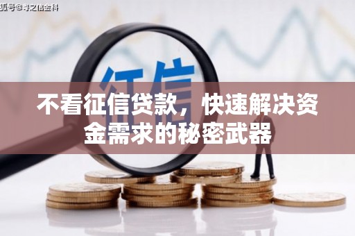 白塔不看征信贷款，快速解决资金需求的秘密武器