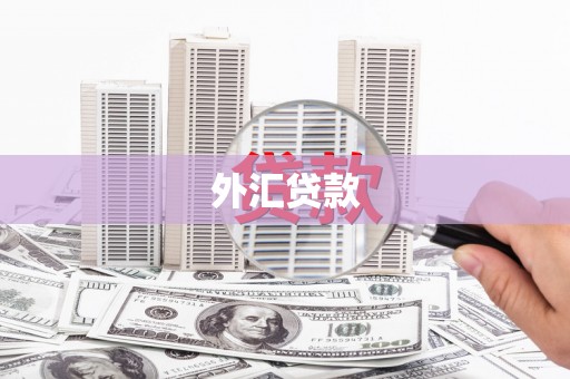 白塔外汇贷款