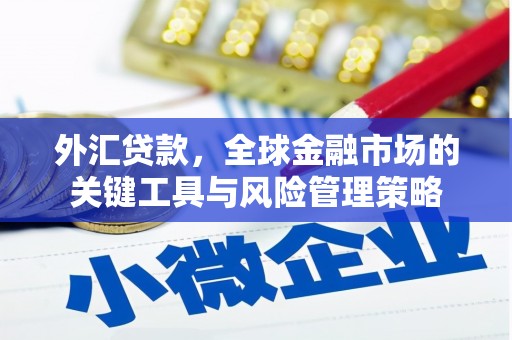 白塔外汇贷款，全球金融市场的关键工具与风险管理策略