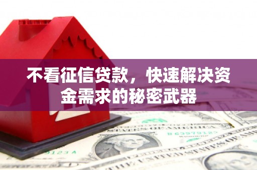 白塔不看征信贷款，快速解决资金需求的秘密武器