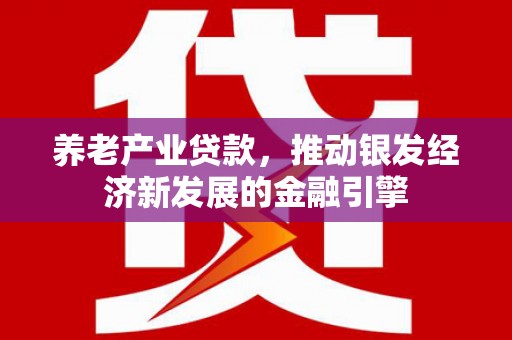 白塔养老产业贷款，推动银发经济新发展的金融引擎
