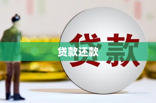 白塔贷款还款