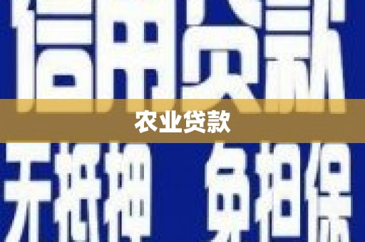 白塔农业贷款