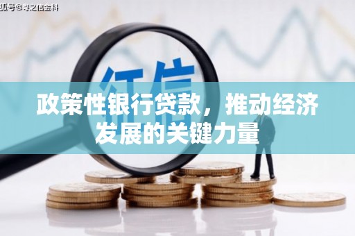 白塔政策性银行贷款，推动经济发展的关键力量