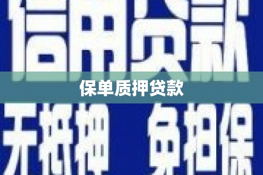 白塔保单质押贷款
