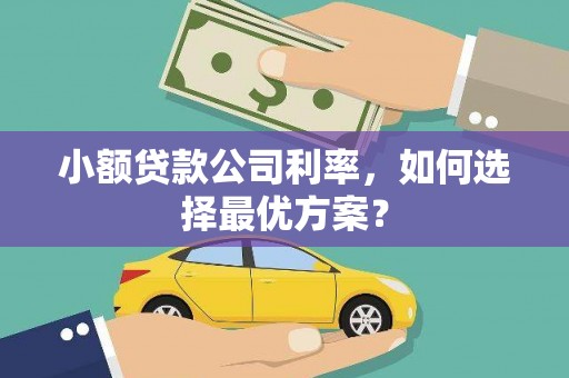 白塔小额贷款公司利率，如何选择最优方案？