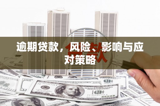 白塔逾期贷款，风险、影响与应对策略