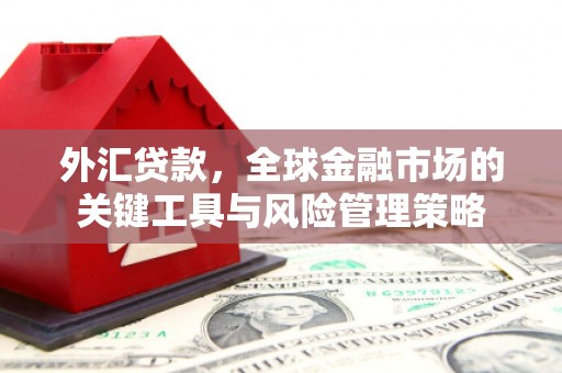 白塔外汇贷款，全球金融市场的关键工具与风险管理策略