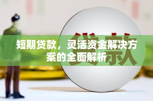 白塔短期贷款，灵活资金解决方案的全面解析
