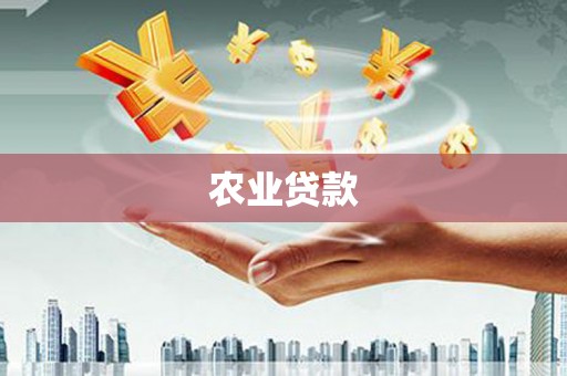 白塔农业贷款