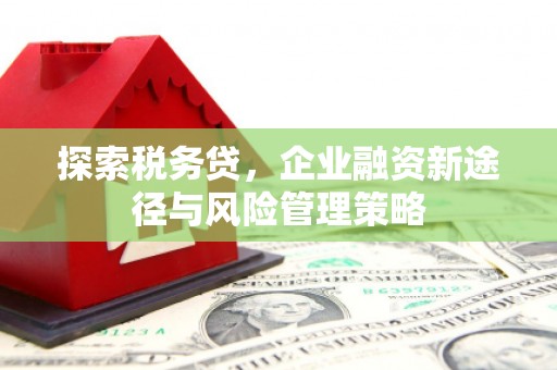 白塔探索税务贷，企业融资新途径与风险管理策略