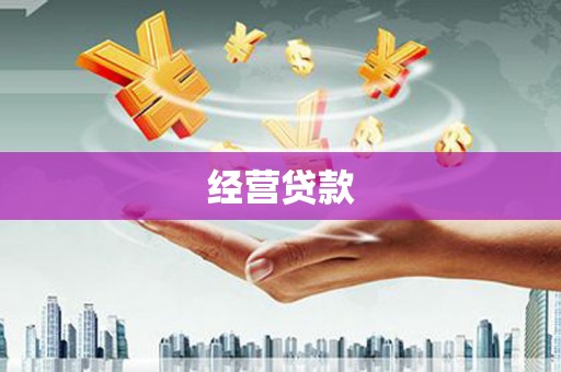 白塔经营贷款