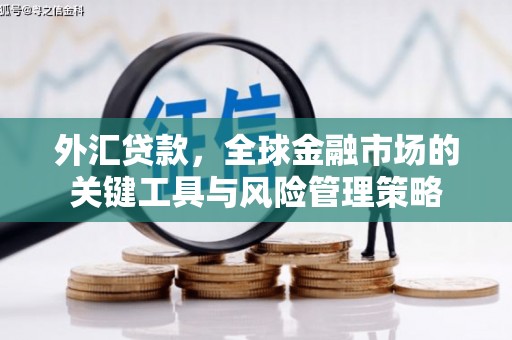 白塔外汇贷款，全球金融市场的关键工具与风险管理策略