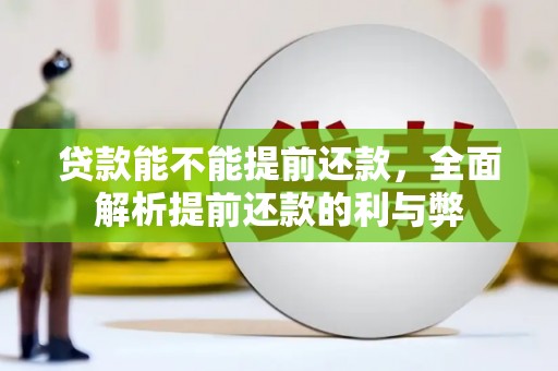 白塔贷款能不能提前还款，全面解析提前还款的利与弊