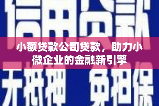 白塔小额贷款公司贷款，助力小微企业的金融新引擎