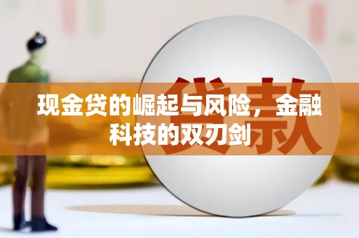 白塔现金贷的崛起与风险，金融科技的双刃剑