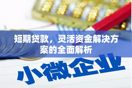 白塔短期贷款，灵活资金解决方案的全面解析