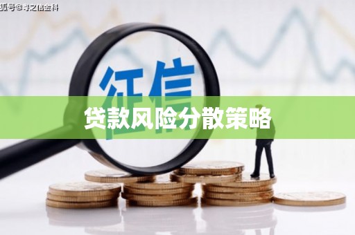 白塔贷款风险分散策略