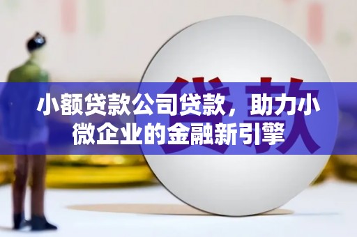 白塔小额贷款公司贷款，助力小微企业的金融新引擎