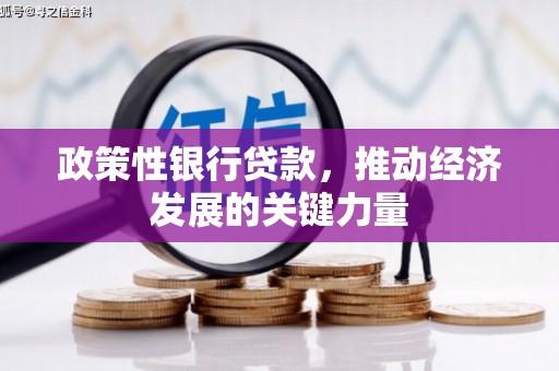 白塔政策性银行贷款，推动经济发展的关键力量