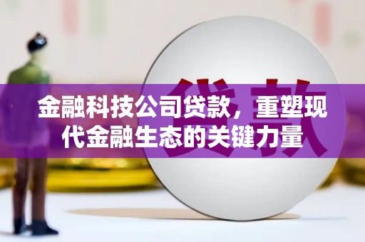 白塔金融科技公司贷款，重塑现代金融生态的关键力量