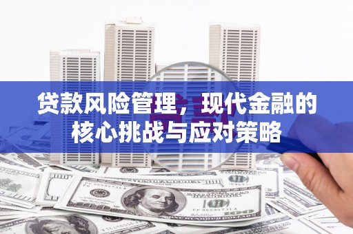 白塔贷款风险管理，现代金融的核心挑战与应对策略