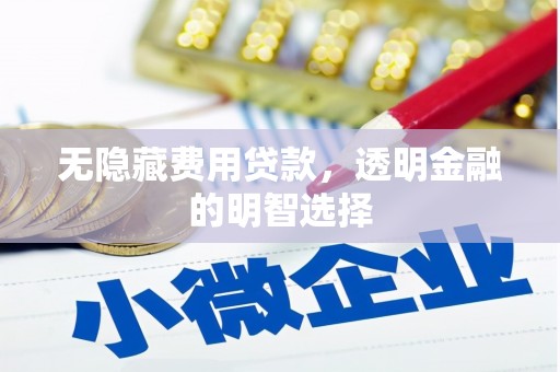 白塔无隐藏费用贷款，透明金融的明智选择