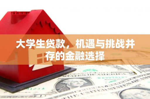 白塔大学生贷款，机遇与挑战并存的金融选择