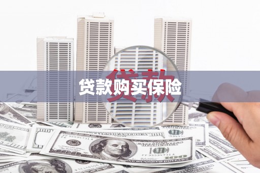 白塔贷款购买保险