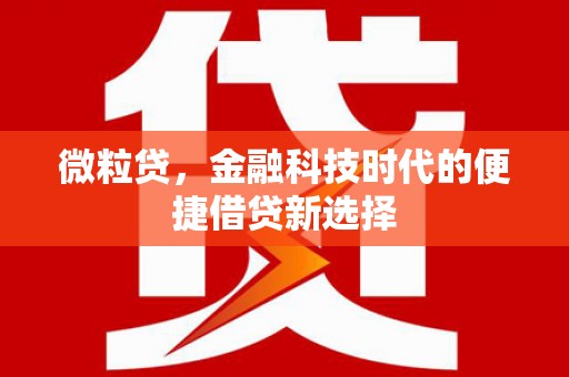 白塔微粒贷，金融科技时代的便捷借贷新选择