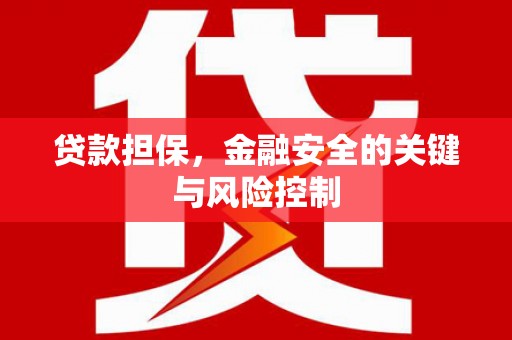 白塔贷款担保，金融安全的关键与风险控制