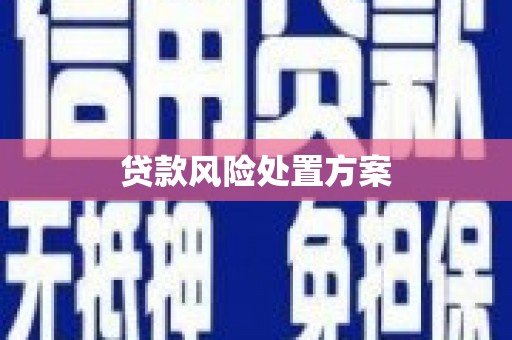 白塔贷款风险处置方案