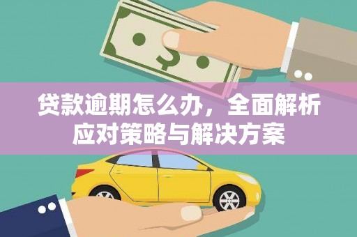 白塔贷款逾期怎么办，全面解析应对策略与解决方案