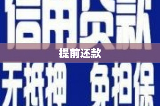 白塔提前还款