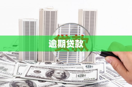 白塔逾期贷款